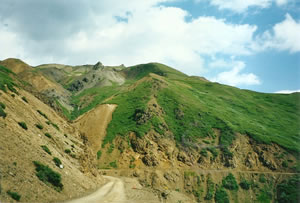 The road that Ted and Larry cycled in Denali National Park.
