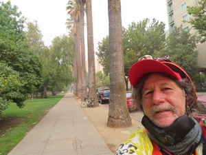 Ted and his bike on palm tree lined sidewalk next to the Sacramento Capital building. 