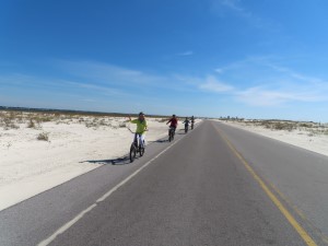 Nancy, Colleen, Janice and Judith on a bike ride from Pensacola Beach to Fort Pickens, Florida.