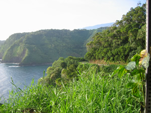 The view from the Hana Highway.