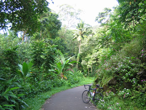 Ted’s rental bike on short paved trail next to the Hana highway in Maui, Hawaii.