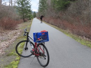 Ted’s bike and Moose on the Trail of the Coeur d’Alene near ghost town of Springston, Idaho.