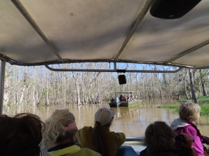 Photo from our boat looking at our second boat on the Honey Island Swamp tour in Slidell, Louisiana.