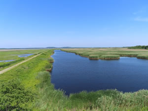 View from wild life viewing tower near Hellcat parking lot (lot 4) on Plum Island (Parker River National Wildlife Refuge), Massachusetts.