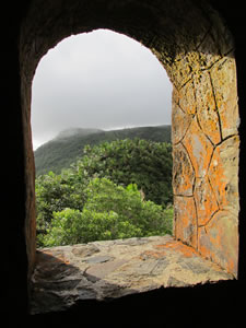 El Yunque National Forest - Mount Britton Tower