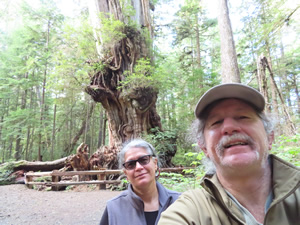 Ted and Marty near trees seen on big Cedar Tree trail at Kalaloch.