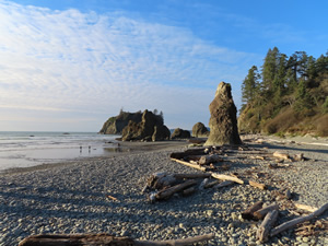 Ruby beach Washington State