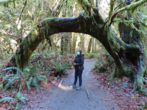 Marty on “Hall of Mosses Trail” in the Hoh rainforest.