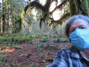 Ted on “Hall of Mosses Trail” in the Hoh rainforest.