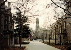 Yale campus in New haven, Connecticut