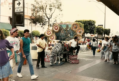 People set up to take your photo on the zebra (it was really a pained donkey) Tijuana, Mexico.