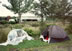 Camp near Reefton, New Zealand