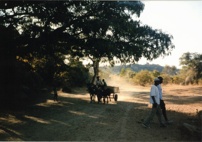 A horse drawn carriage nears Mashavuka caves.