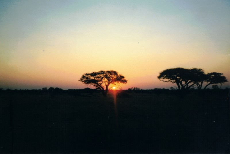 The sun setting at Hwange National park near Dete.