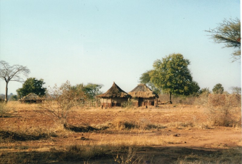 A couple of huts between Dete and Sianzyundu.