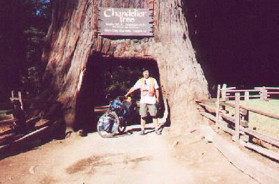 Ted with his bike at Chandelier Drive through tree.