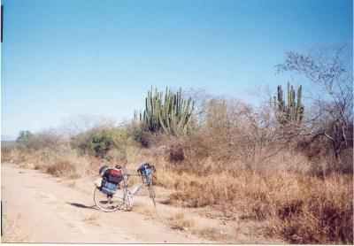 My bike near cactus east of Los Mochis, Mexico.