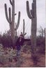 Cactus in Saguaro National Park near Tucson, AZ.