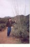 Cactus in Saguaro National Park.