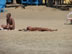 Nudist at beach near Zipolite