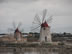 Wind mill in Lo Stagnone
