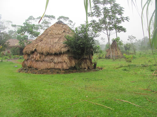 Village near Futuna Falls near Volcona Arenal