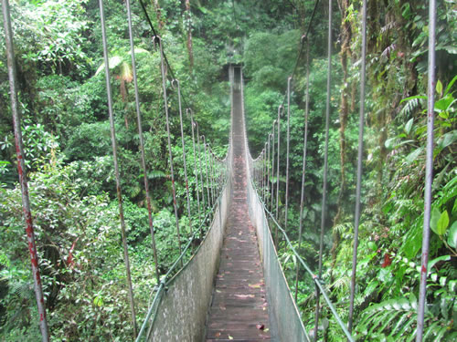Bridge near Futuna Falls near Volcona Arenal