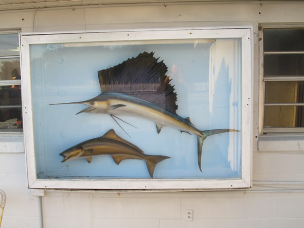 Fish display near Daytona lighthouse, FL