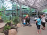 Zoo at Taiping, Malaysia