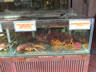 Seafood in Singapore