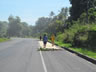 People drag their feet through the corn on the side of the road, I often saw this, but am not sure why they do this.