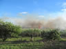 Burning a field in El Salvador, I think this is so they can start a new crop next year.