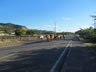 Cows on main highway in El Salvador