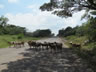 Sheep on highway 12 not far from Managua, Nicaragua