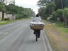 Man riding bike with basket in Nicaragua