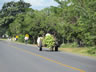 Ox drawn banana cart in Nicaragua