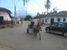 Horse drawn carriage in Granada, Nicaragua.