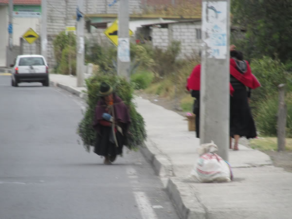 Typical view on Ecuador streets