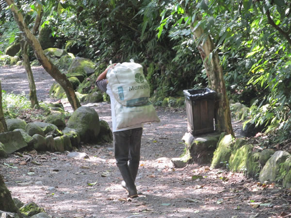 Man carrying supply to lodge near Pailon Del Diablo waterfall