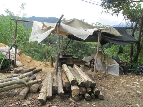 Private sawmill near highway between Banos, Ecuador to Puyo, Ecuador.