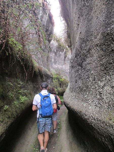 Narrow trail on Isle Santa Maria, Ecuador.