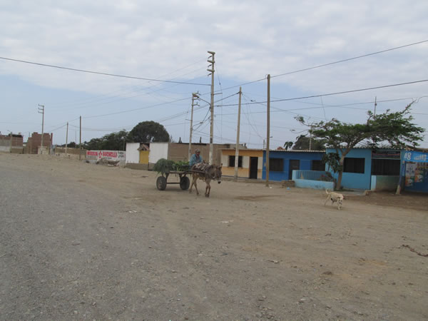 A town between Pacasmayo, Peru and Trujillo, Peru.