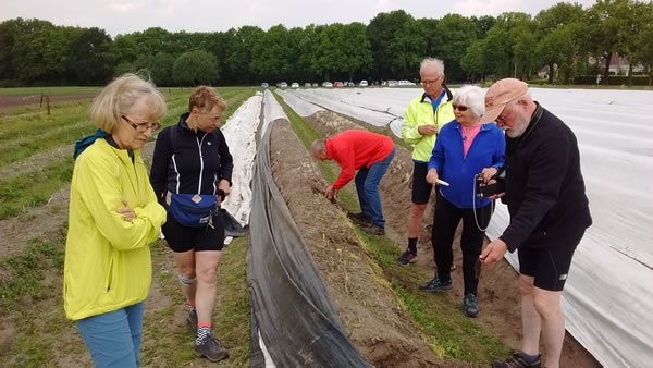 Netherlands – Our barge group checking out an asparagus farm.