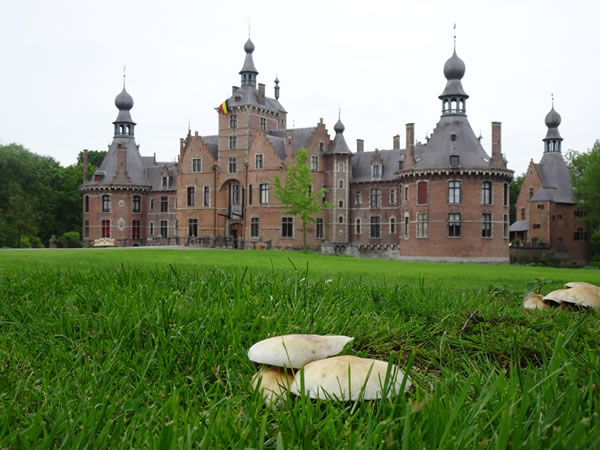 Belgium – Ooidonk castle