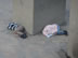 People sleeping on the sidewalk at square in historic area of Medellin, Colombia.