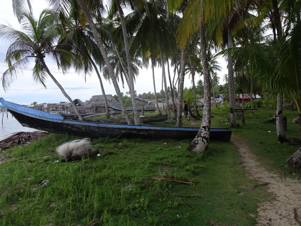 Canoes near village we stayed in on our last and final night on the San Blas Islands, Panama. – The largest of the San Blas Islands.