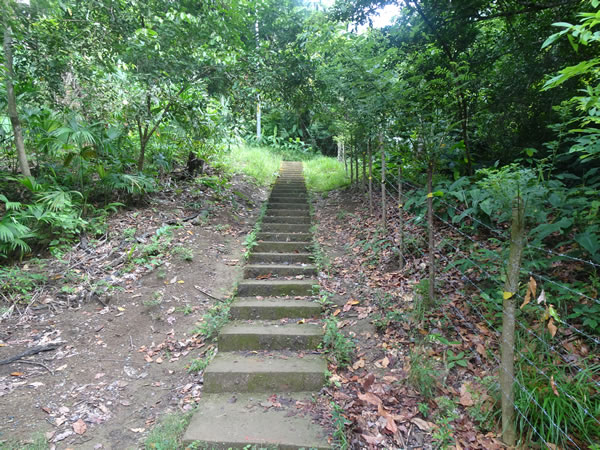 Stairs between Sapzurro, Colombia and La Miel, Panama.