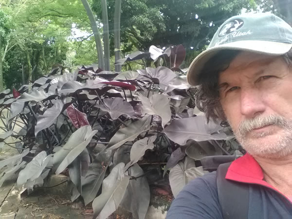 Ted and plants at the botanic garden in Medellin, Colombia.