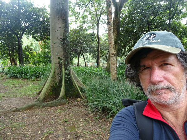 Ted in front of a tree at the botanic garden in Medellin, Colombia.