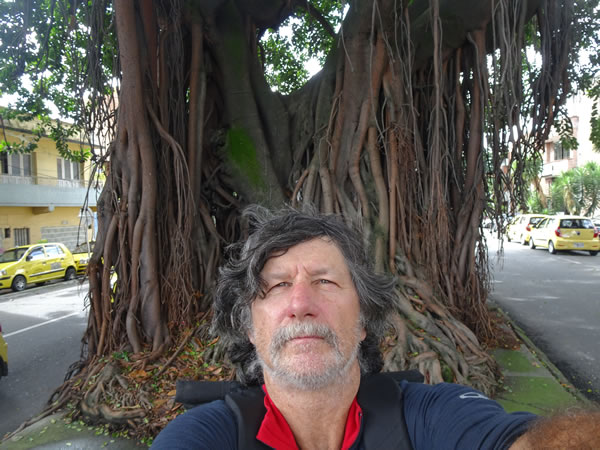 Ted in front of a tree in Medellin, Colombia.